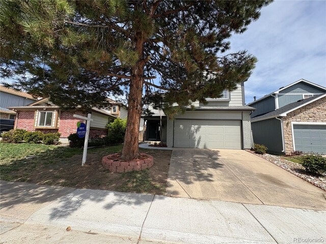 8034 Decatur St, Westminster, CO 80031 - photo 2