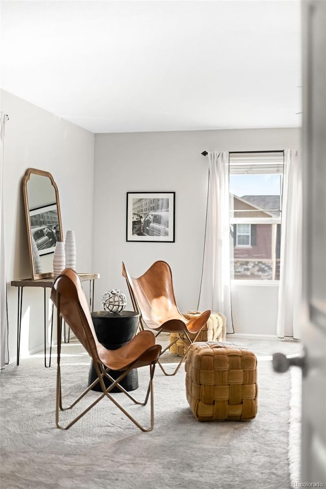 sitting room featuring carpet flooring