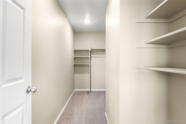 spacious closet with carpet flooring