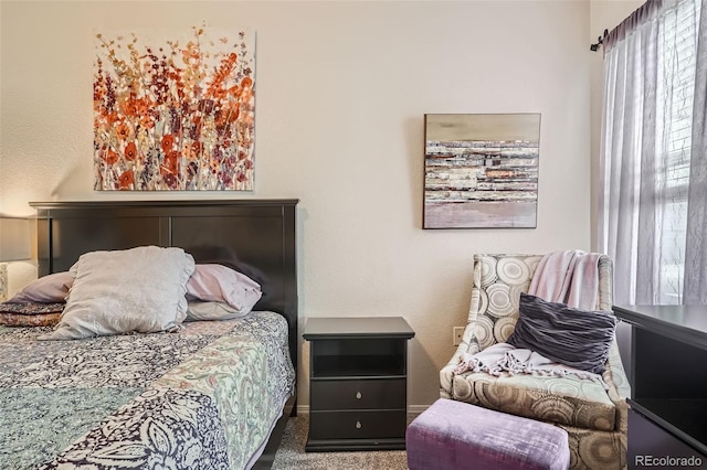 bedroom featuring carpet