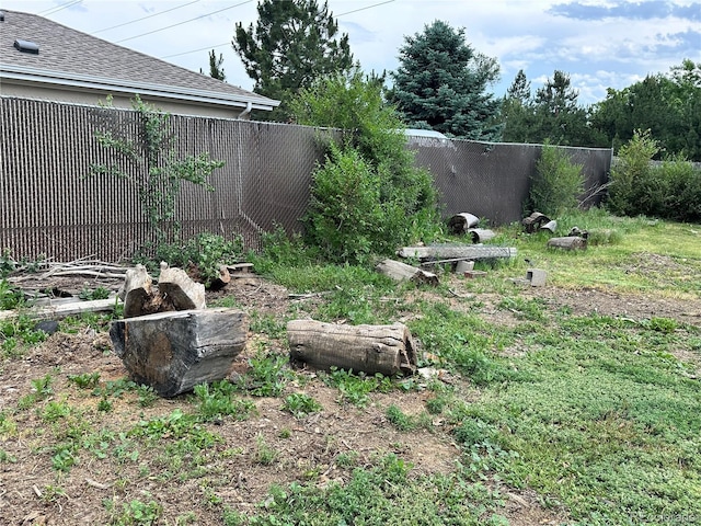 view of yard