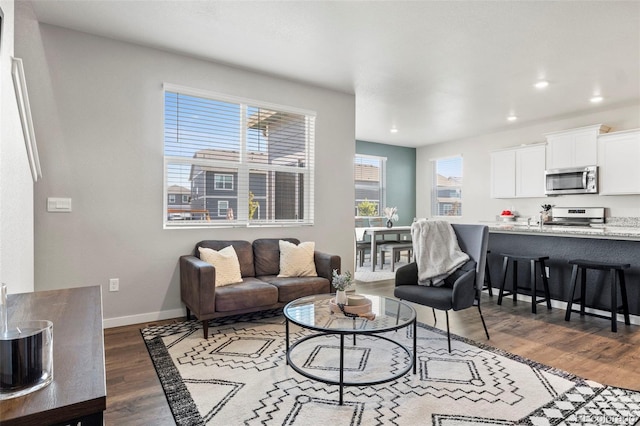 living room with dark hardwood / wood-style flooring