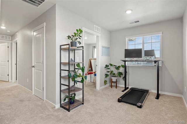 workout area featuring light carpet