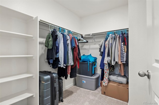 spacious closet featuring light colored carpet