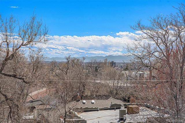 4225 W 30th Ave, Denver, CO 80212 - photo 24