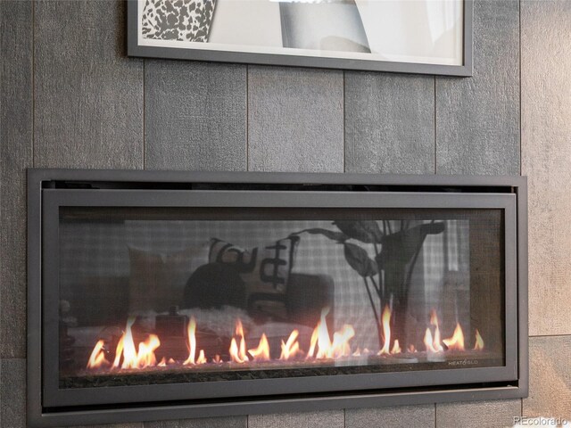 3715 Kalamath St, Denver, CO 80211 - detailed view of a glass covered fireplace
