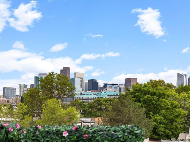 3715 Kalamath St, Denver, CO 80211 - skyline view