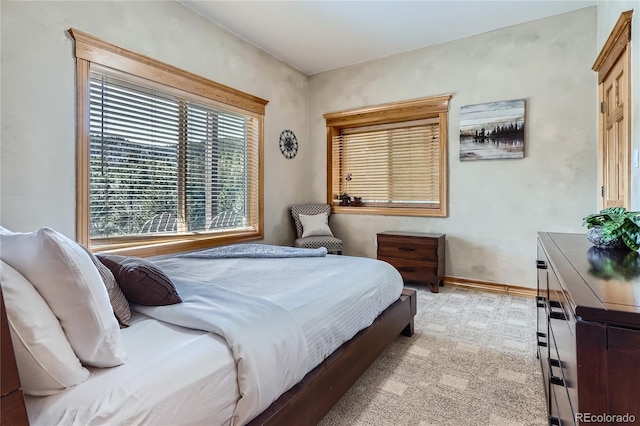 9659 S Turkey Creek Rd, Morrison, CO 80465 - carpeted bedroom with baseboards