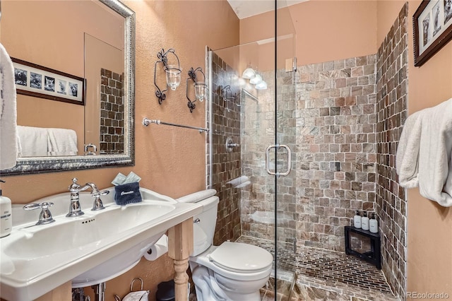 9659 S Turkey Creek Rd, Morrison, CO 80465 - bathroom with toilet, a stall shower, a textured wall, and a sink