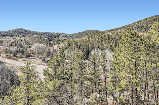 9659 S Turkey Creek Rd, Morrison, CO 80465 - view of mountain background featuring a forest