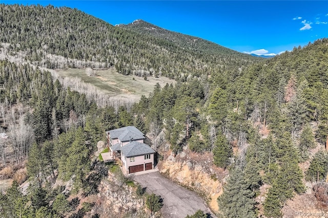 9659 S Turkey Creek Rd, Morrison, CO 80465 - mountain view with a heavily wooded area