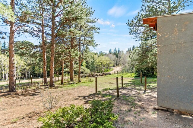597 Pine Glade Rd, Nederland, CO 80466 - view of yard