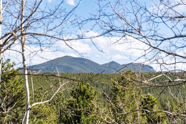 597 Pine Glade Rd, Nederland, CO 80466 - view of mountain backdrop featuring a heavily wooded area