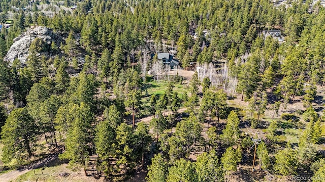 597 Pine Glade Rd, Nederland, CO 80466 - drone / aerial view of a forest