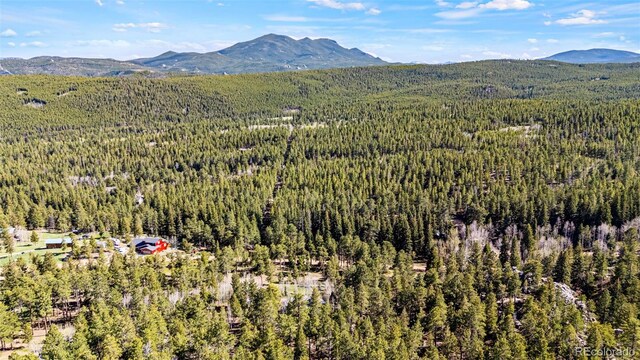 597 Pine Glade Rd, Nederland, CO 80466 - mountain view featuring a heavily wooded area