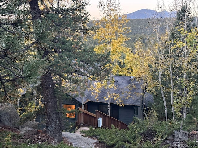 597 Pine Glade Rd, Nederland, CO 80466 - view of property exterior with a mountain view and a forest view