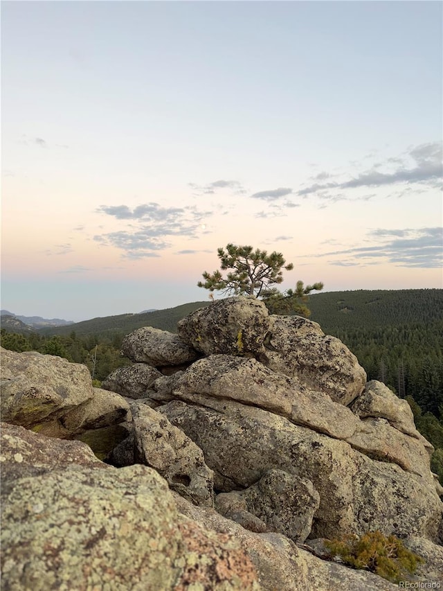 597 Pine Glade Rd, Nederland, CO 80466 - nature at dusk with a wooded view
