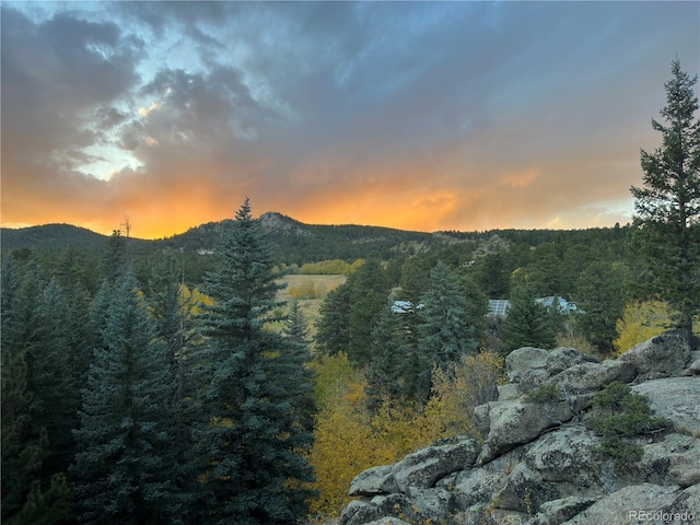 597 Pine Glade Rd, Nederland, CO 80466 - view of mountain backdrop with a heavily wooded area