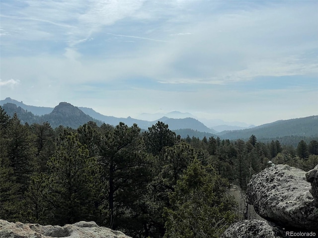 597 Pine Glade Rd, Nederland, CO 80466 - view of mountain backdrop with a heavily wooded area