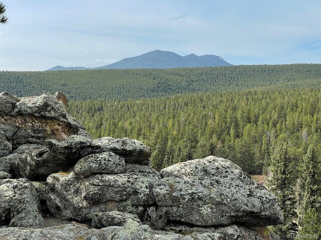 597 Pine Glade Rd, Nederland, CO 80466 - mountain view featuring a heavily wooded area