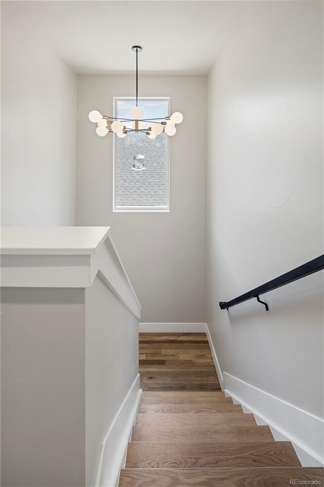 2521 N Gaylord St, Denver, CO 80205 - photo 22