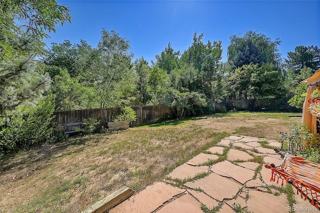 view of yard with a patio