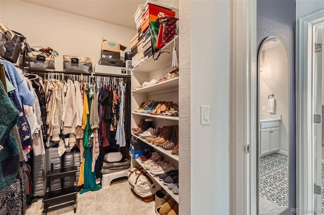 spacious closet featuring carpet