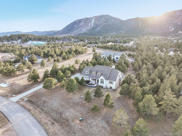 birds eye view of property featuring a mountain view