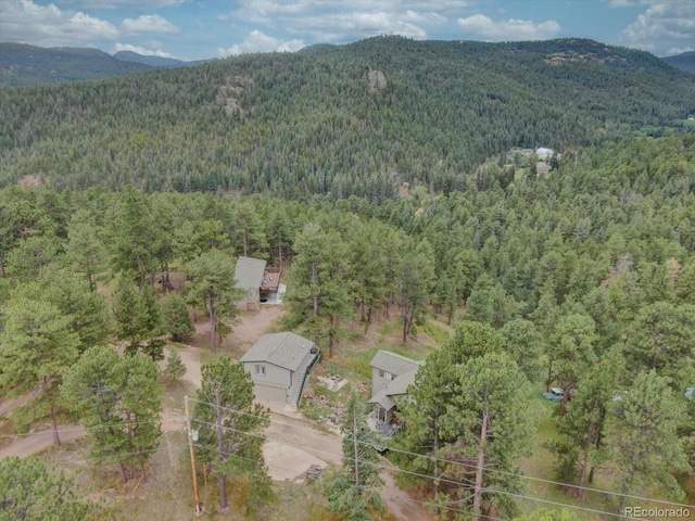 29864 Lee Rd, Evergreen, CO 80439 - photo 47