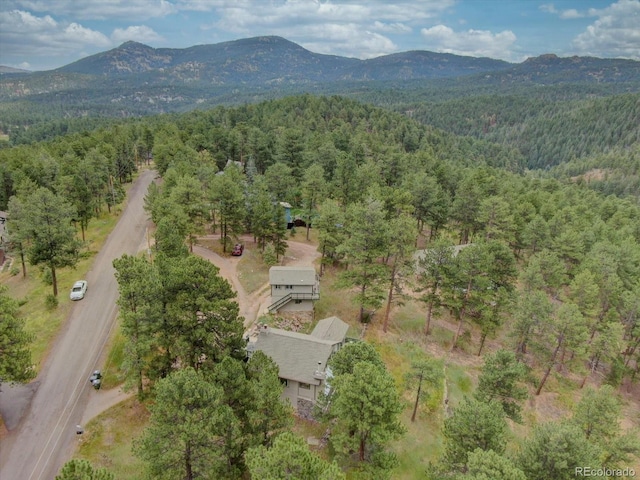29864 Lee Rd, Evergreen, CO 80439 - photo 48