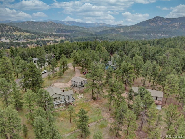 29864 Lee Rd, Evergreen, CO 80439 - photo 49