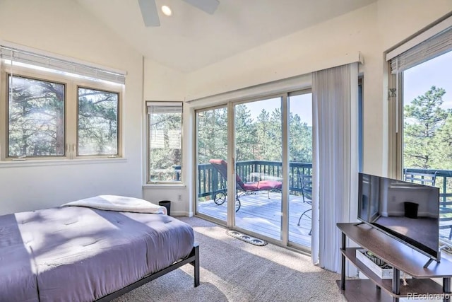 29864 Lee Rd, Evergreen, CO 80439 - photo 15