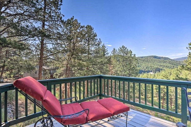 29864 Lee Rd, Evergreen, CO 80439 - photo 19