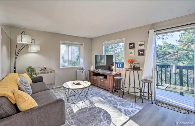 29864 Lee Rd, Evergreen, CO 80439 - photo 40