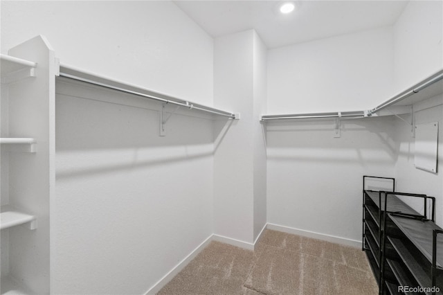 walk in closet with carpet