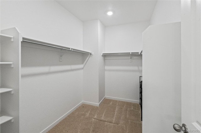 spacious closet with carpet floors