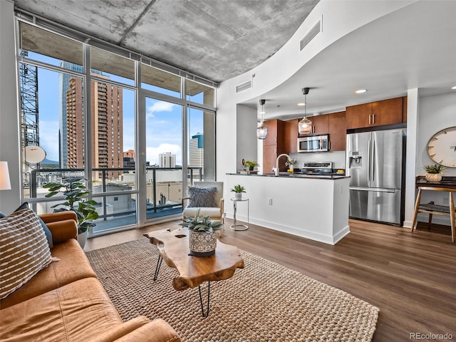 living room featuring dark hardwood / wood-style floors, sink, and floor to ceiling windows