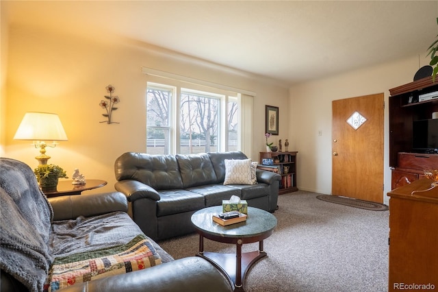 4115 S Clarkson St, Englewood, CO 80113 - living room with carpet floors