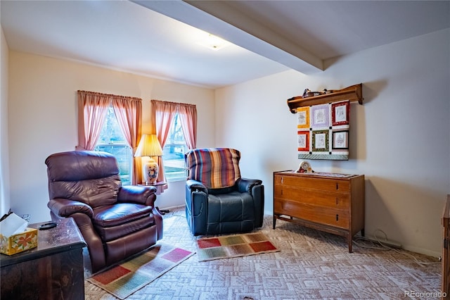 4115 S Clarkson St, Englewood, CO 80113 - sitting room featuring carpet