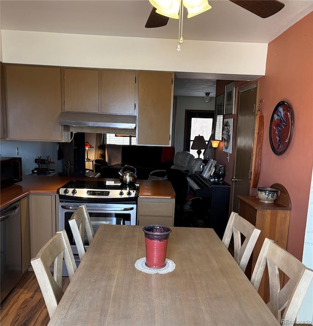 9 Granada Ct Unit 15, Westcliffe, CO 81252 - kitchen with ceiling fan, stainless steel appliances, under cabinet range hood, wood finished floors, and light countertops