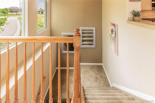 9760 Mayfair St Unit A, Englewood, CO 80112 - stairs with carpet floors and baseboards