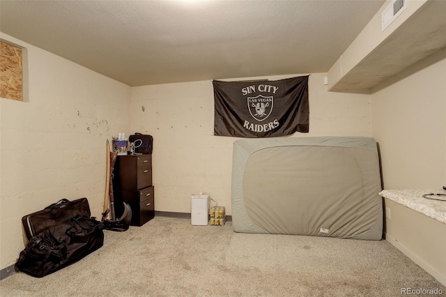 basement featuring light carpet and a textured ceiling