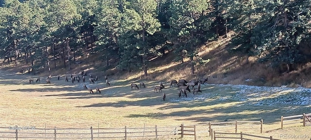 view of nature featuring a rural view