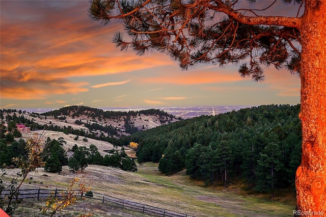 view of mountain feature featuring a wooded view