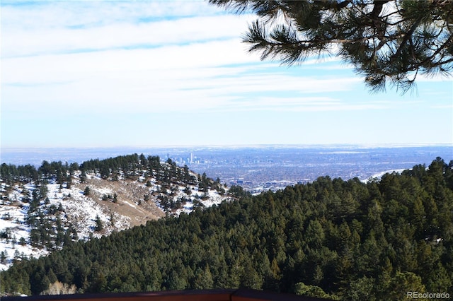 21849 Cabrini Blvd, Golden, CO 80401 - bird's eye view of a heavily wooded area