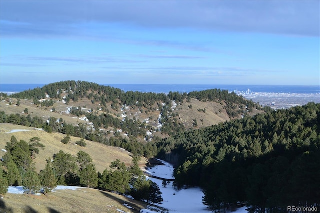 21849 Cabrini Blvd, Golden, CO 80401 - drone / aerial view of a water and mountain view and a heavily wooded area