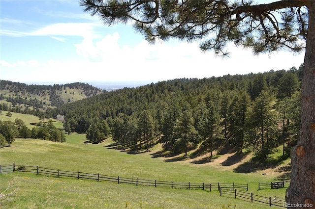 21849 Cabrini Blvd, Golden, CO 80401 - mountain view with rural landscape and a forest