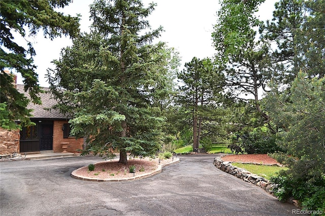 21849 Cabrini Blvd, Golden, CO 80401 - view of asphalt driveway