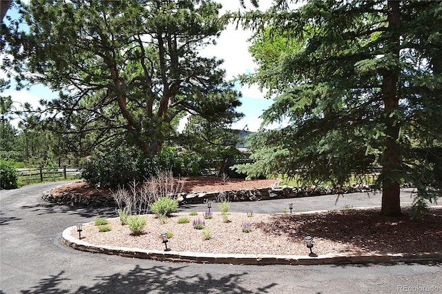 21849 Cabrini Blvd, Golden, CO 80401 - view of yard