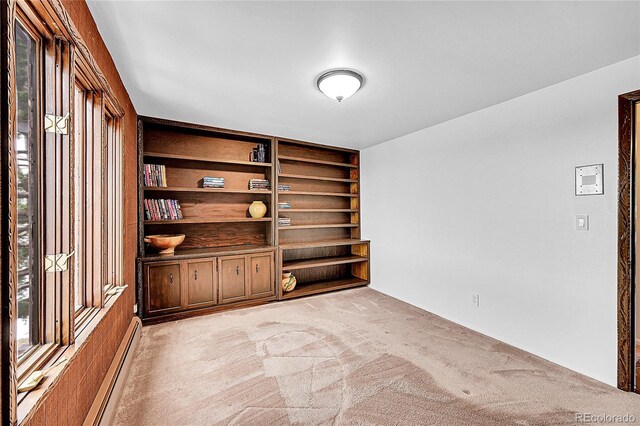 21849 Cabrini Blvd, Golden, CO 80401 - unfurnished office with light carpet and a baseboard radiator